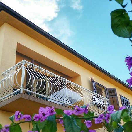 Apartments Nela Jelsa  Bilik gambar